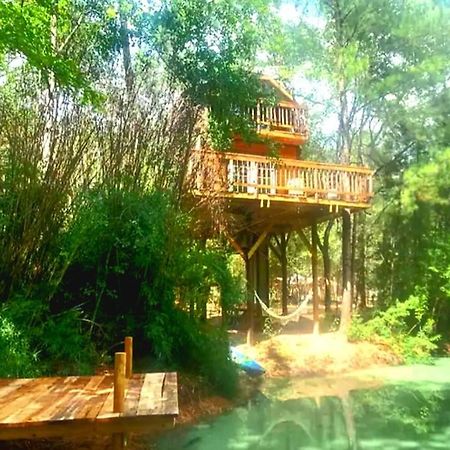 Waterfront Treehouse In A Magical Forest Waller 外观 照片